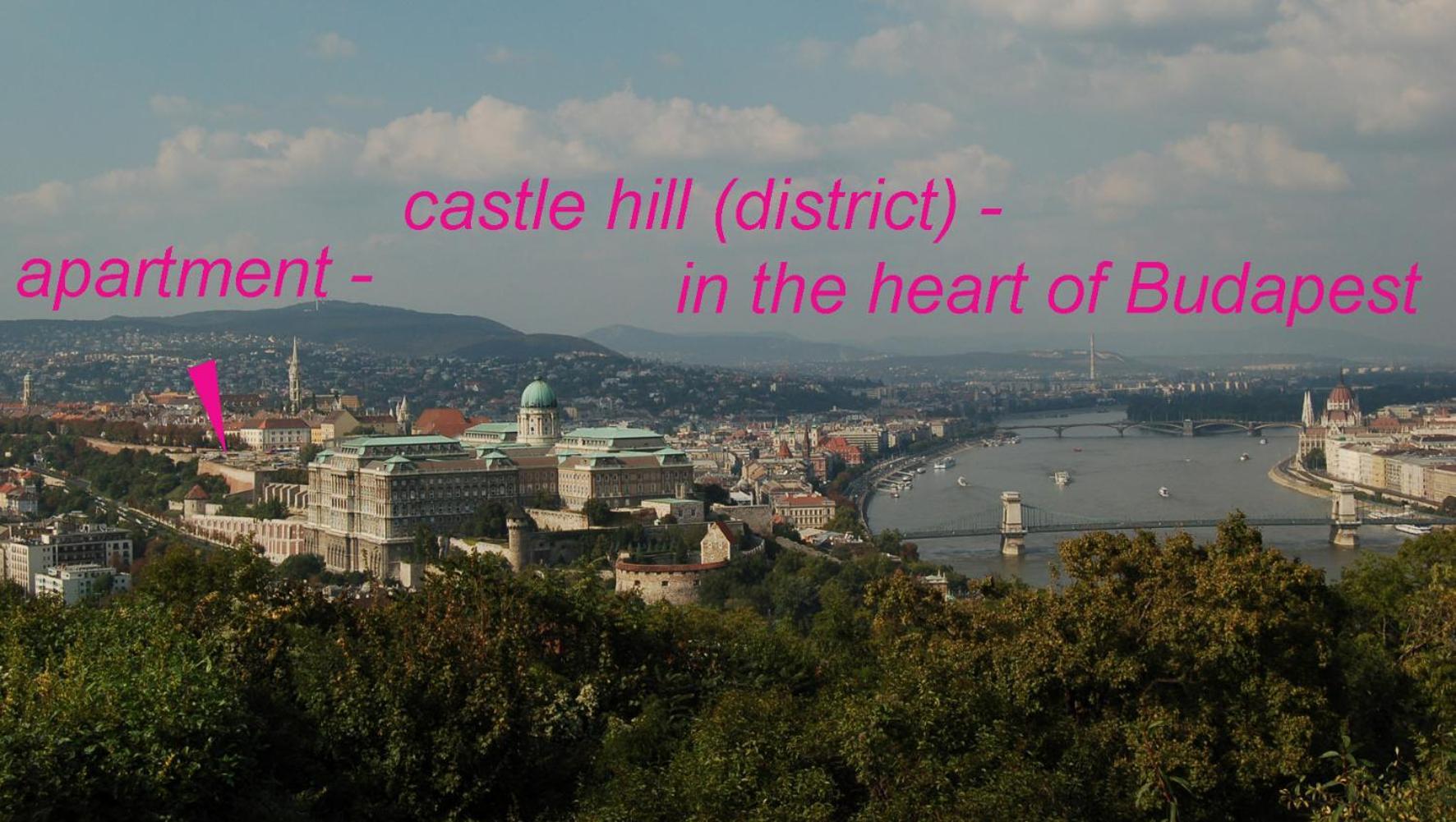 Buda Castle Apartments Budapest Esterno foto