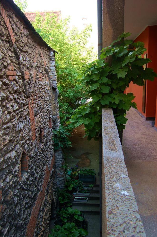 Buda Castle Apartments Budapest Esterno foto