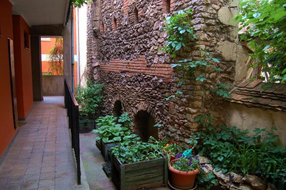 Buda Castle Apartments Budapest Esterno foto